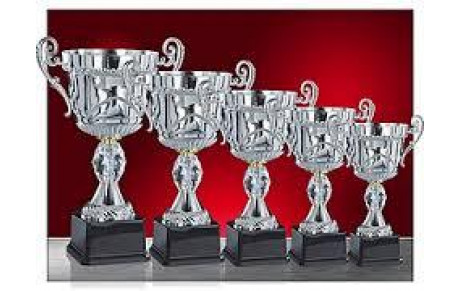 RECOMPENSES DE LA VILLE /2 EQUIPES HONORES