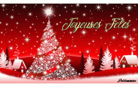 JOYEUSES FETES DE FIN D'ANNEE